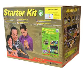 Lucky Reptile Starter Kit Komplettset Bombina/Pacman, ca. B50/H40/T28 cm