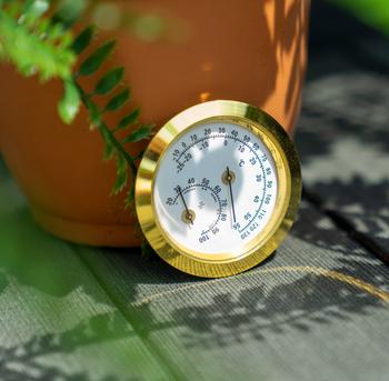 Vitavia Hygrometer, Weiß / Gold