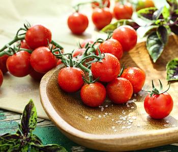 4 x Zuckertomate, rot von Dehner - Mindestbestellmenge: 4 Stk.