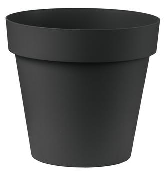 Veca Kunststoff-Topf Cleo mit Rollen, konisch, anthrazit - Polypropylen
