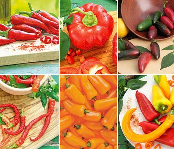 Gemüse-Set Schärfetest, 6-teilig