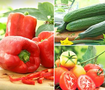 Gemüse-Set Kleiner Gemüsegarten, 3-teilig