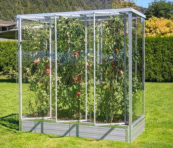 Tomatenhaus Julia, ca. B195/H200/T99 cm, Silber, Grau - Stahl, Polycarbonat