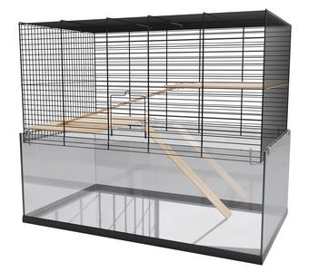 Dehner Lieblinge Nagerheim Glas Palast, Schwarz / Transparent - Metall Holz