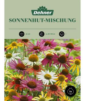 Dehner Blumenzwiebel Sonnenhut-Mischung, 5 Stk.
