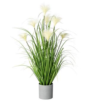 CREATIV green Kunstpflanze Riedgras im Topf, ca. H76 cm
