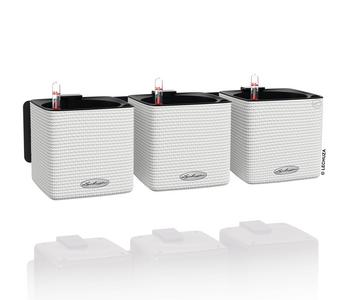 LECHUZA® CUBE Color Green Wall Home Kit, ca. B48/H14/T15 cm