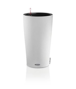 LECHUZA Pon Perfect Zitruspflanzen-Dnger, | Dehner