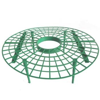 Dehner Frucht-Stütze, 5 Stk.