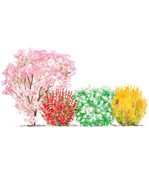 Blütenhecke Impress, 4-teilig