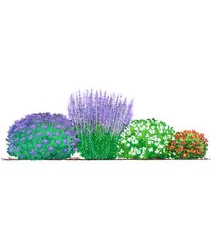 Blütenhecke Nature, 4-teilig