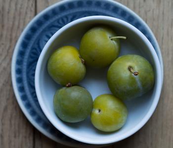 Reneklode 'Große Grüne Reneklode' von Dehner, Lemon