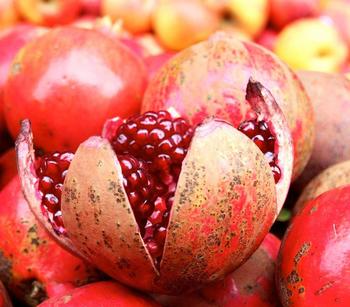 Granatapfel von Dehner, Rot
