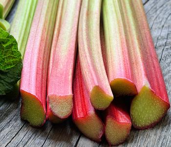 Dehner Gourmet Garten Himbeer-Rhabarber