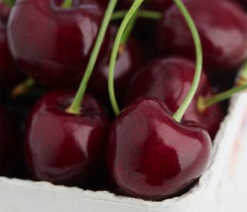 Süßkirsche 'Regina'