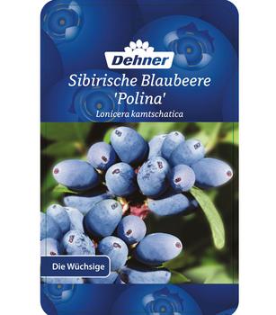 Maibeere Dehner