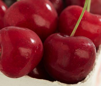 Süßkirsche 'Sunburst'