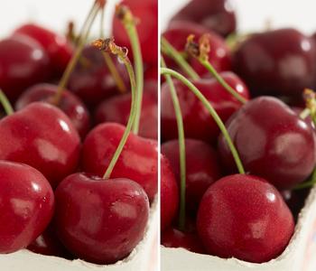 Kirschen-Duo 'Sunburst/Burlat'