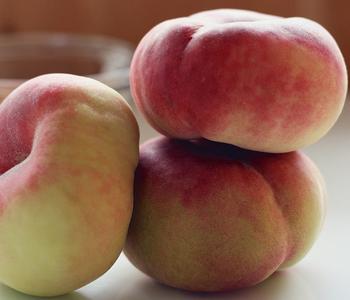 Teller-Pfirsich 'Sugar Baby®'