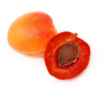 Rotfleischige Aprikose 'Violet'