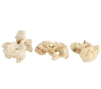 2 x Dehner Sansibar Rock, 7-10 cm, 3er-Set - Mindestbestellmenge: 2 Stk.
