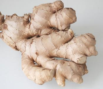 3 x Thai-Ingwer von Dehner, Beige / Hellbraun - Mindestbestellmenge: 3 Stk.