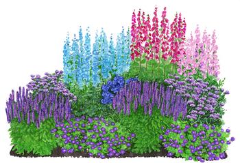 Bio Stauden-Set Romantischer Garten, 12-teilig