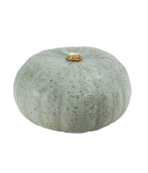 Kürbis 'Sweet Grey', ca. Ø15 cm