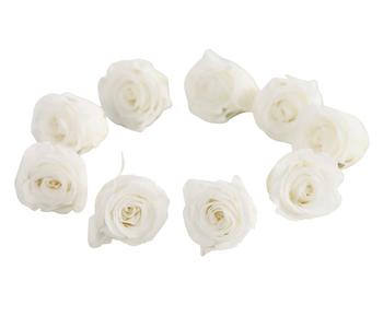Dehner Longlife-Rose, ca. Ø3 cm