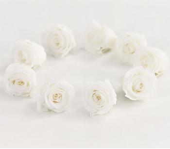 Dehner Longlife-Rose, ca. Ø3 cm, Weiß - Naturmaterial