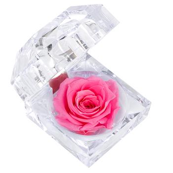 Dehner Longlife-Rose in Juwelenbox, ca. Ø3,5 cm