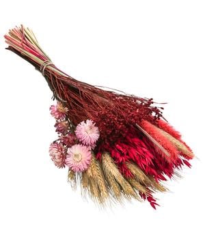 Trockenblumenbouquet Trendy, rosa von Dehner