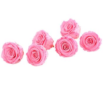 6 x Dehner Longlife-Rose, ca. Ø6 cm, Rosa - Naturmaterial - Mindestbestellmenge: 6 Stk.
