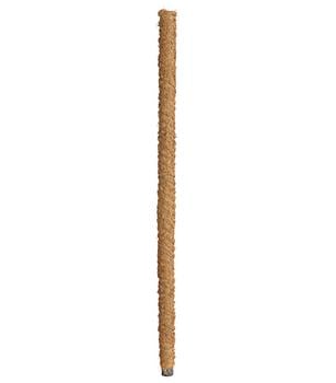 Dehner Moosstab - Kunststoff / Kokos