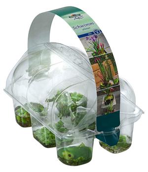Schwimmpflanzen-Set, 6-teilig, Grün