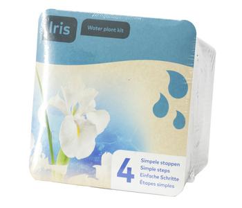 Teichpflanzen Komplett-Set Iris, 6-teilig