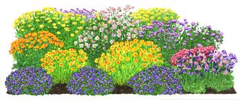 Bio Stauden-Set Es wird durchgeblüht, 24-teilig