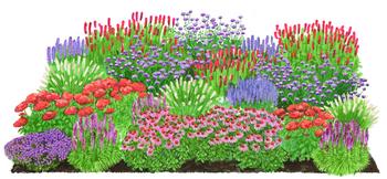 Bio Stauden-Set New Nature, 24-teilig