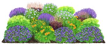 Bio Stauden-Set Lange Blüte, Landlust Kollektion, 18-teilig