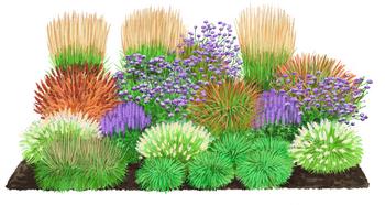 Bio Stauden-Set Großes Gräser-Beet, 24-teilig