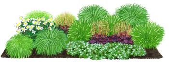 Bio Stauden-Set Wintergrün, 18-teilig