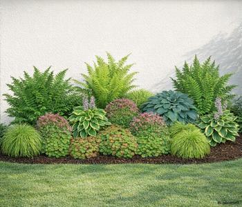 Bio Stauden-Set Schattenparadies, 18-teilig