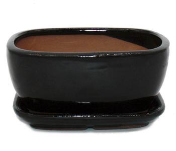 Dehner Bonsai-Dnger, flssig, 250 ml | Dehner