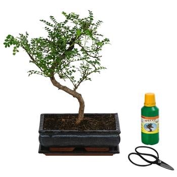 bambus 5mm addiCraSyTrio Bamboo Short – single 24 cm (2–5 mm) main image 0