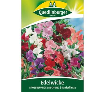 Quedlinburger Samen Edelwicke 'Grossblumige Mischung'
