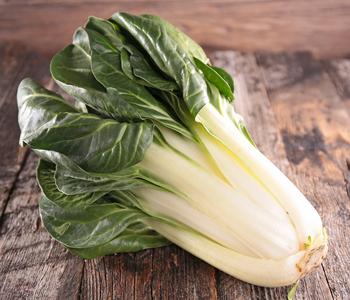 Bio Mangold, 6er Schale