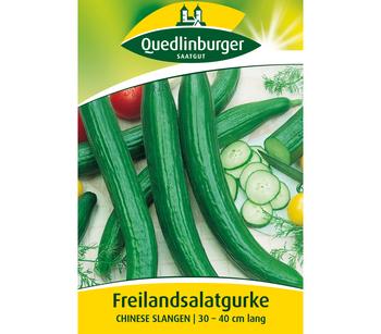Quedlinburger Samen Freilandsalatgurke 'Chinese Slangen'