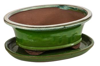 Dehner Keramik-Bonsaischale, oval, hellgrün/beige