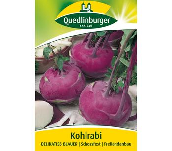 Quedlinburger Samen Kohlrabi 'Delikatess Blauer'
