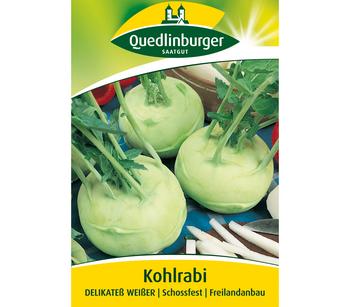 Quedlinburger Samen Kohlrabi 'Delikateß Weißer'